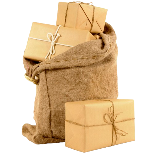 Courier Service